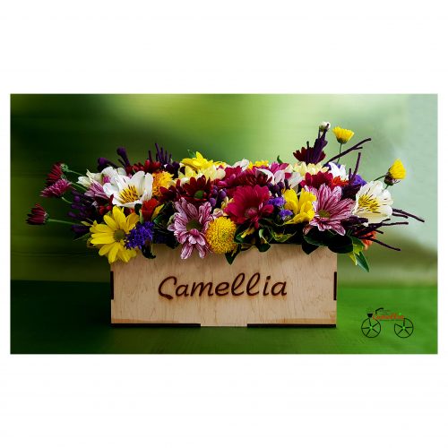 ყვავილების ონლაინ მაღაზია