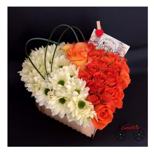 ვარდები, ქრიზანთემა