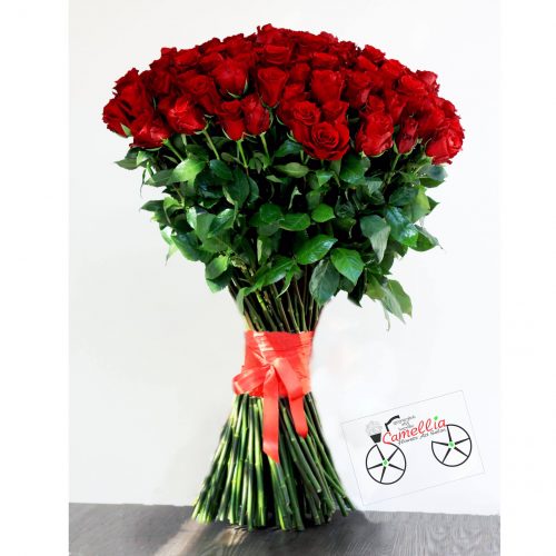 ვარდი, ვარდები, ვარდების