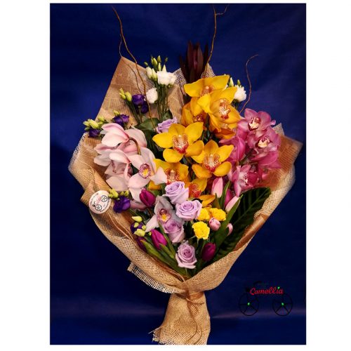 ორქიდეა