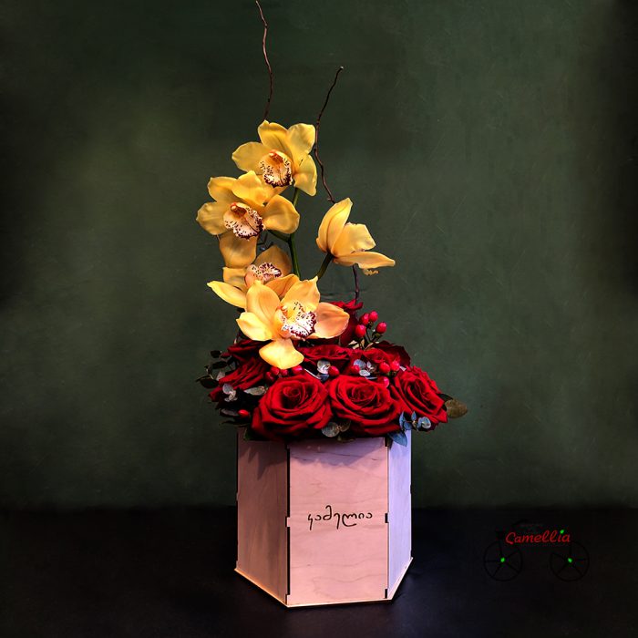 ორქიდეა S-32