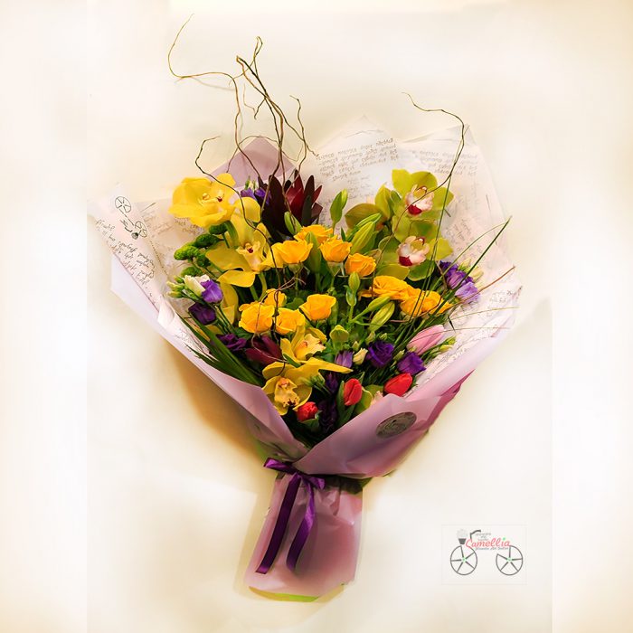 ორქიდეა T-29