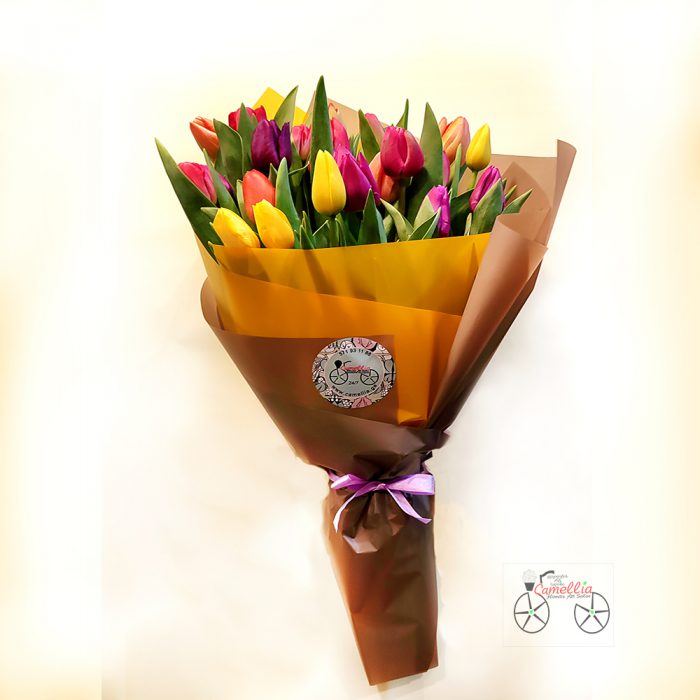 ტიტები T-30