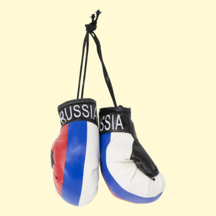 Bokshandschoenen klein / Боксерские перчатки